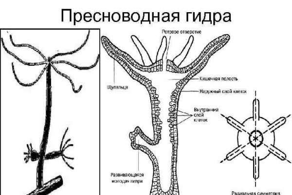 Ссылка на кракен зеркало