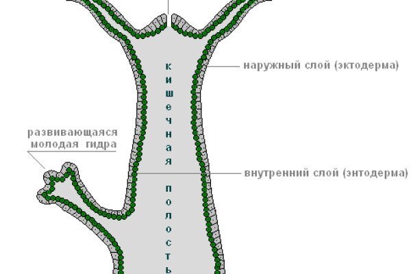 Как оплатить заказ в кракене