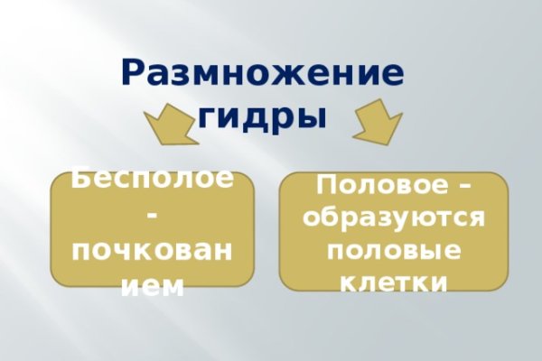 Пользователь не найден кракен даркнет