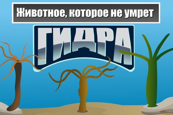 Кракен вход ссылка kraken torion net